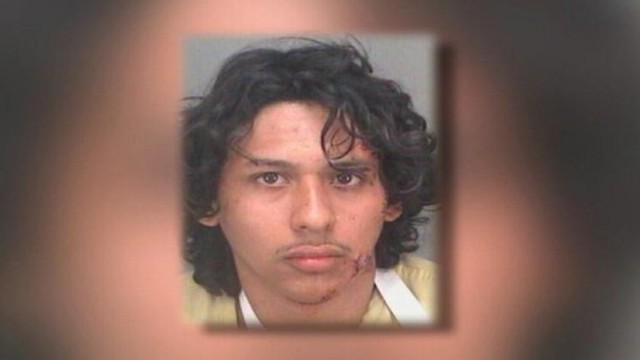 VIDEO: Bryan Zuniga tried to avoid police at a traffic stop, but ended up facing a 6-foot alligator.