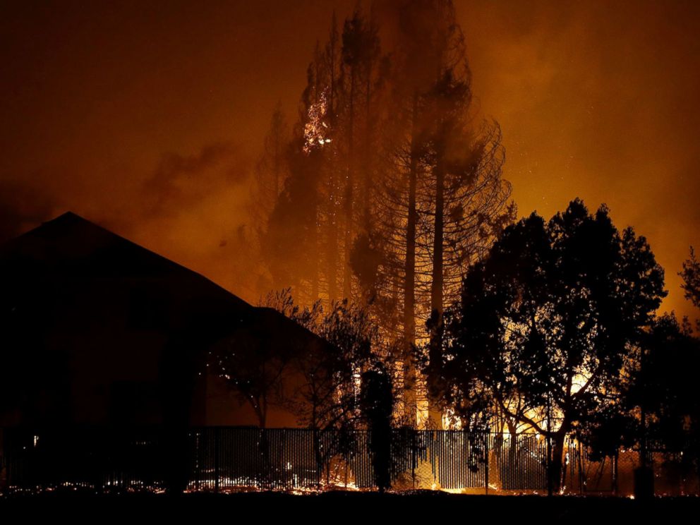 PHOTO: Trees burn behind houses in a residential area in Santa Rosa, Calif., Oct. 9, 2017.