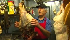 VIDEO: Seattle butcher William von Schneidau brings new meaning to pot-bellied pigs.