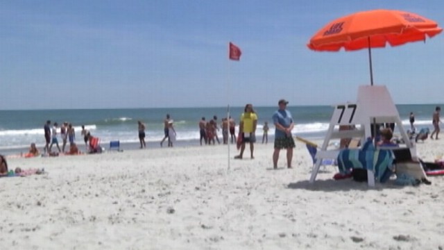 VIDEO: Four people were bitten in the ocean off the coast of South Carolina.