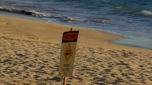VIDEO: A 20-year-old German woman was snorkeling off island of Maui when attack happened.
