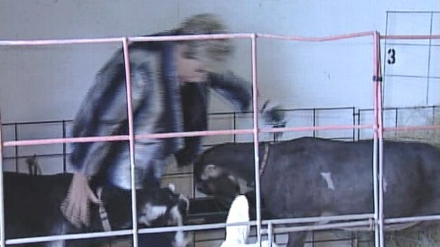 VIDEO: ABC 7s Linda Carson was knocked to the ground during report at the Manatee County Fair in Florida.