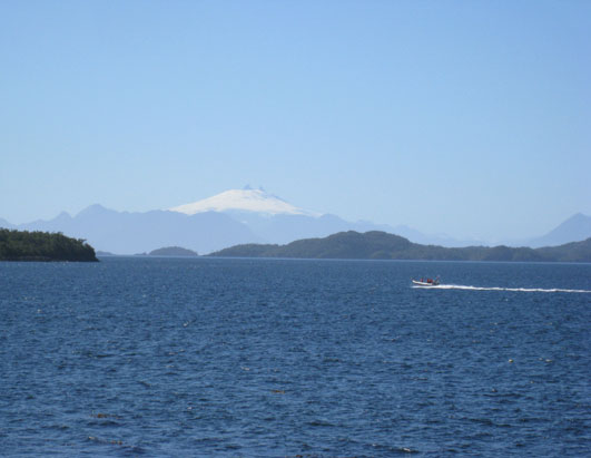 Whale Haven in Chile