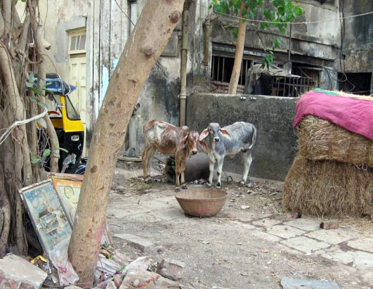 India