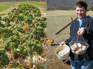 local farm
