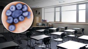 Photo: Fall and Winter Swine Flu Scenario
