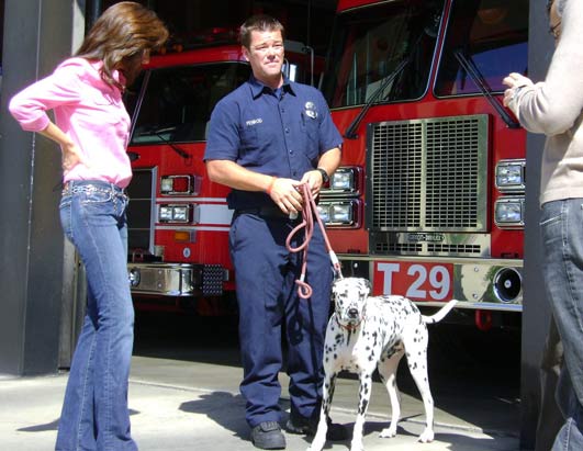 fire house dog