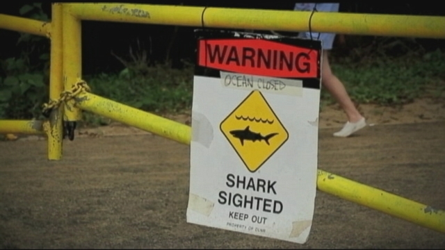Shark Attack Off Maui Coast Kills Man