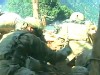 Bloody Day in Afghanistan