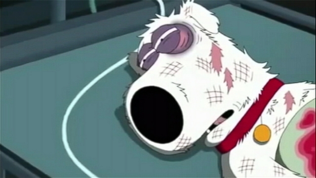 VIDEO: Brian from The Family Guy might return to the animated show on Fox.