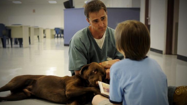 VIDEO: Gift From Behind Bars Is Changing Autistic Boys Life