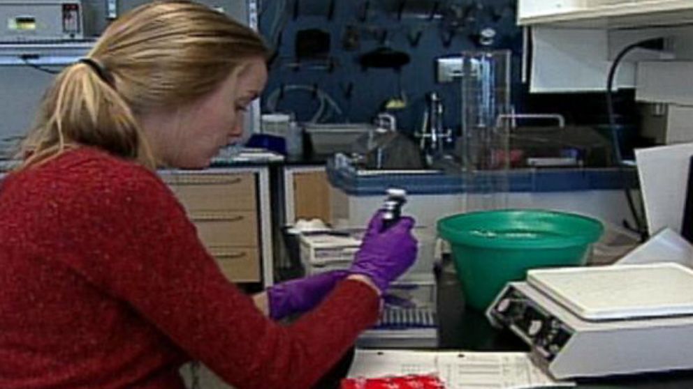 VIDEO: Instant Index: Vampire Therapy Research May Lead to a Breakthrough in Alzheimers and Heart Disease