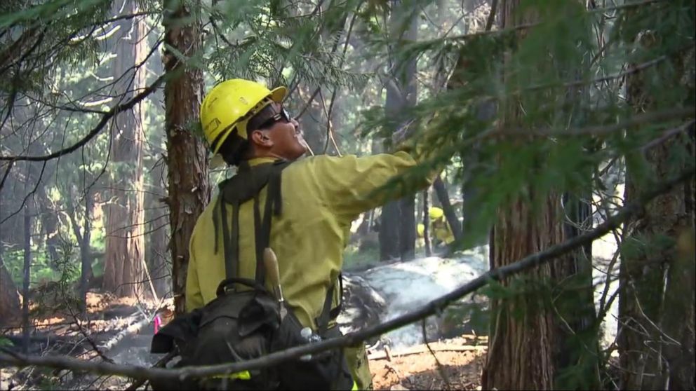 West Coast Drought Ignites Wildfires From Alaska to Arizona - ABC News