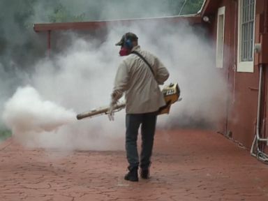 WATCH: Pregnant Women On Alert as Zika Fears Spread in Miami