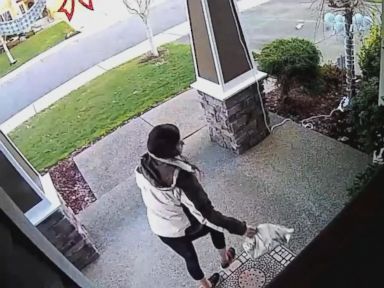 WATCH: Homeowners Fight Back Against Thieves Stealing Packages From Porches