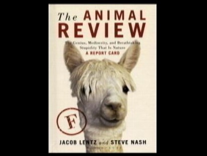 Book Cover: The Animal Review