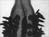 An X-Ray view of one of the unexploded devices