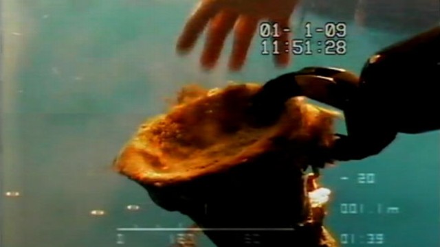 VIDEO: A 2,000-year-old Roman shipwreck yielded jars of wine, oil, grain and pickled fish.
