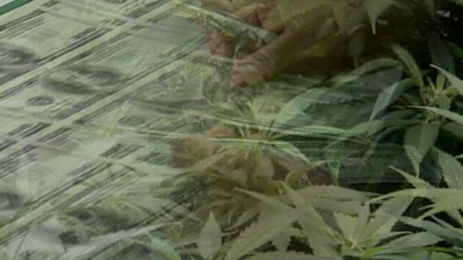 VIDEO:The Marijuana Millionaire