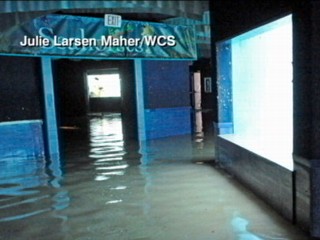 Watch: Flooded New York Aquarium May Evacuate Animals