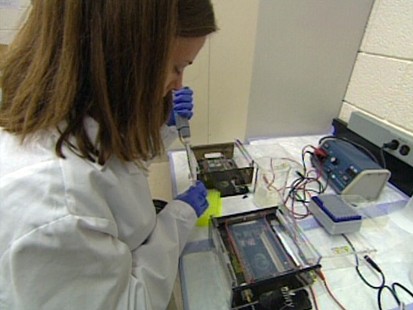 Researcher