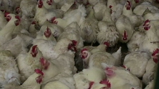VIDEO: Health officials track transmissions of the new strain of the virus that has killed six.