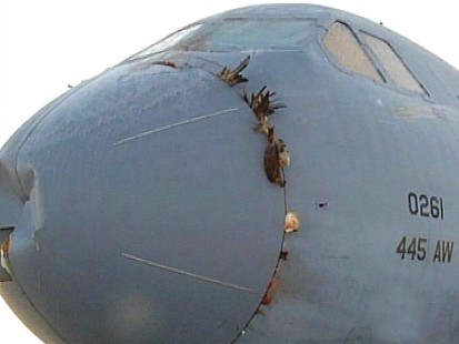 VIDEO: Radar Could Prevent Bird Strikes