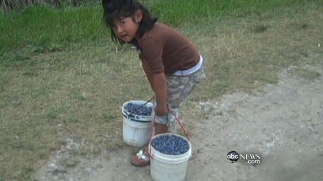 VIDEO: Hidden camera captures young children toiling in fruit and vegetable fields.