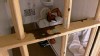VIDEO: Juveniles in Florida jailed for life