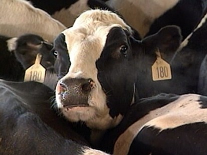 VIDEO: Dairy Farms Disappear