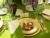 VIDEO: Obamas' First State Dinner at the White House