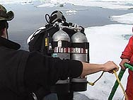 divers