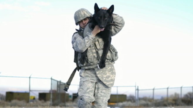 VIDEO: Team Six had K-9 backup when it took out Bin Laden.