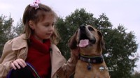 VIDEO: Doctors can learn about cancer in humans from dogs.