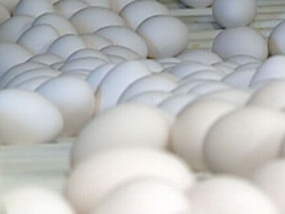 VIDEO: 228 million eggs from one of the countrys biggest producers are being recalled.