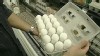 VIDEO: Two Wright County Egg employees say they complained about conditions to USDA.