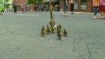 VIDEO: Banker rescues ducks