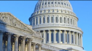 VIDEO: Lone Wolf Terrorist Seized by FBI;  Is the American Economy on the Uptick? 