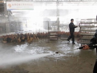 Full Episode: World News 4/07: New Strain of Avian Flu Puts CDC on High Alert
