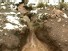 &rsquo;Cambio Climatico&rsquo; Melts Bolivian Glacier