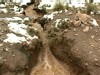 Video Sample