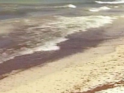 VIDEO: Gulf spill may be headed to Miami during what should be a busy tourist season.