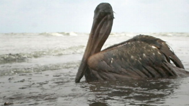 VIDEO: Matt Gutman visits the Gulf six months after BP's Deepwater Horizon exploded.