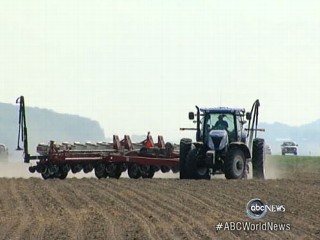 Watch: Heat Wave Raising Food Prices