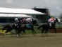 The Sport of Kings Corrupted?