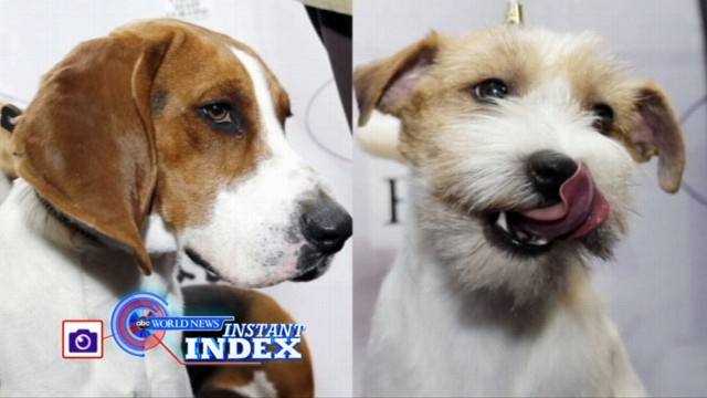 VIDEO: Diane Sawyer with the top stories that have people buzzing this week.