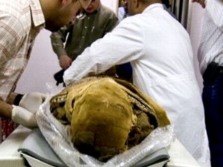 Watch: Instant Index: Ancient Mummies' CAT Scans Reveal Clogged Arteries
