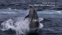 VIDEO: George Stephanopoulos reveals the top stories that have people buzzing this week.
