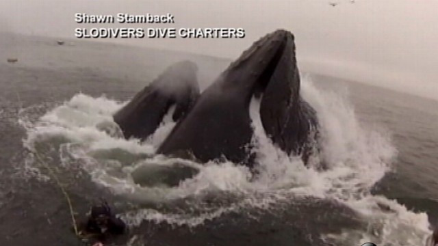 VIDEO: Diane Sawyer reveals the top stories people have been buzzing about this week.