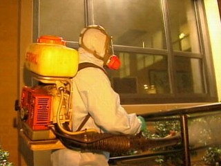 Watch: West Nile Virus Kills 66 in One Week
